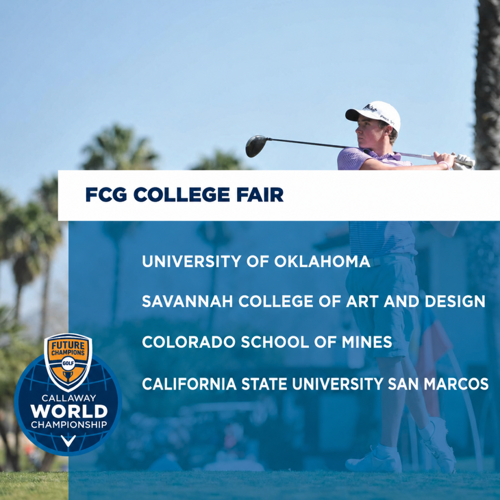 colleges